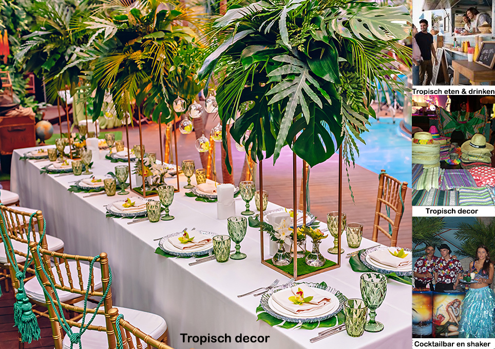 Braziliaans feest